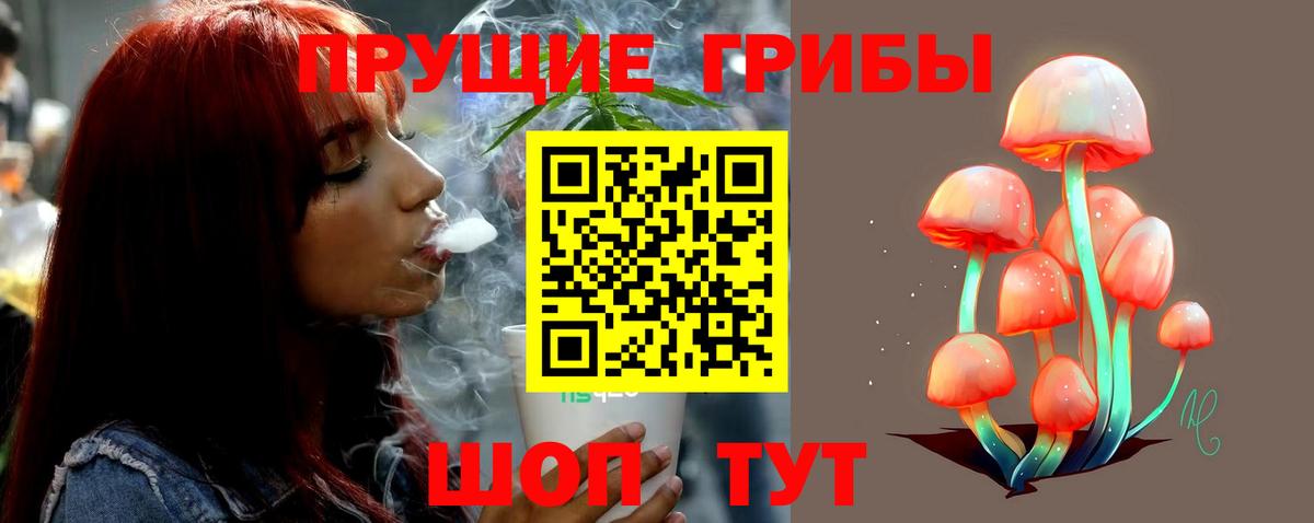 Псилоцибиновые грибы Psilocybine cubensis  Вход с VPN  Славгород 